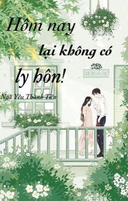 Hôm Nay Lại Không Có Ly Hôn